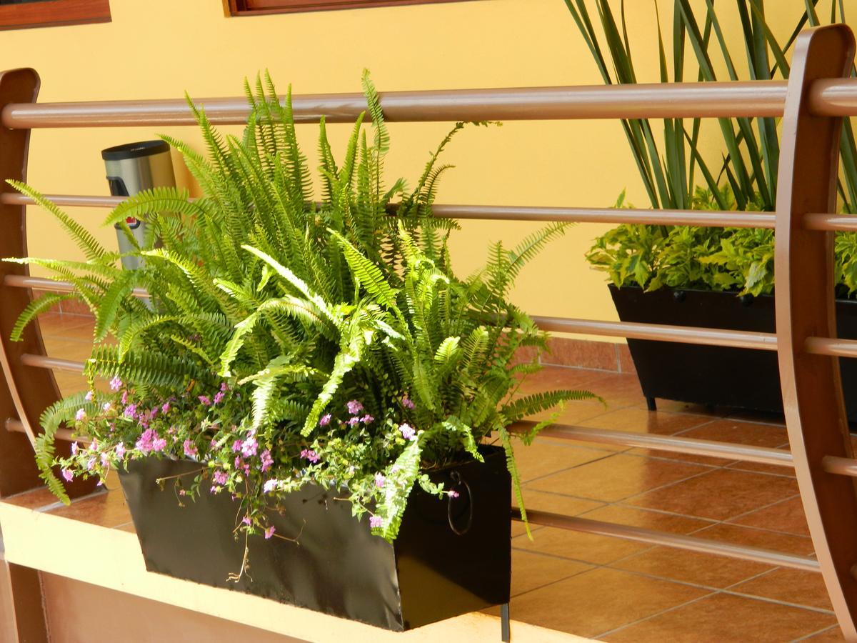 Hotel Plaza Bernal Ngoại thất bức ảnh